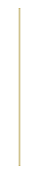 Gran_Gusto_Ristorante_Vertical_Line
